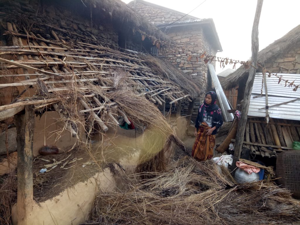 Removingpali